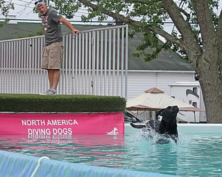  ROBERT K.YOSAY  | THE VINDICATOR..Joe Johnson of  Michigan..watches his 3 yearold at the dock diving practice runs Thursday..In celebration of its 27th anniversary, the Steel Valley Cluster will present four American Kennel Club all-breed dog shows Thursday through Sunday at the Canfield Fairgrounds..-30-