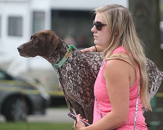  ROBERT K.YOSAY  | THE VINDICATOR..Watching the Dock diving..."clay" a German Shorthair Pointer   and Alisha (OK)  Tomac of Wheeling WV..-30-