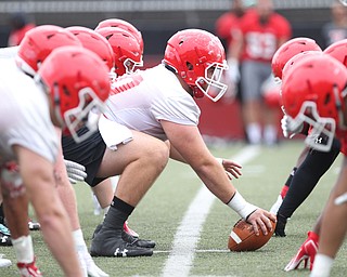 Youngstown state center Vitas Hrynkiewicz (70) prepares a snap during practice at Stambaugh Stadium on Friday morning.  Dustin Livesay  |  The Vindicator  8/3/18  YSU