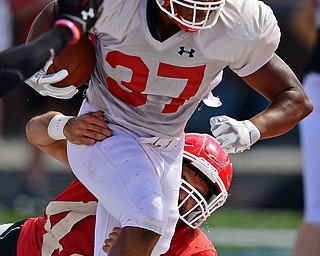 AUSTINTOWN, OHIO - AUGUST 11, 2018: Youngstown State's Tevin McCaster, white, runs the ball while being tackled by Armand Dellovade, red, during the teams practice, Saturday morning at Austintown Fitch High School. DAVID DERMER | THE VINDICATOR