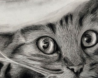 Neighbors | Submitted.Canfield High School student Steffie Marciniak’s piece ‘Ruby’ was chosen to be shown at the 17 Under 17 Art Show at the YWCA of Youngstown.