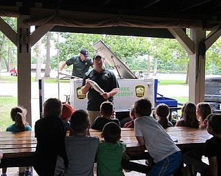 Neighbors | Jessica Harker.Volunteers from the ODNR pulled a live fish from a tank to show campers and teach them about fish that live in Ohio as part of the annual Adventure Camp in Boardman Park.