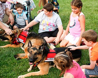 People pet Jaxson, back, and Baron, German Shepherd dogs with the Sit Means Sit training program at the Hot air balloon festival at Mastropietro Winery on Sunday..