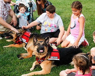 People pet Jaxson, back, and Baron, German Shepherd dogs with the Sit Means Sit training program at the Hot air balloon festival at Mastropietro Winery on Sunday..