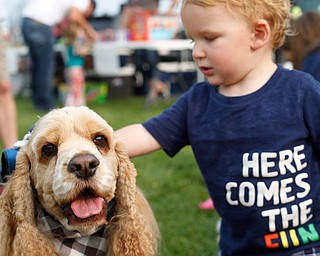 Owen Moore, 1, of Boardman pets Master Milo, a dog with the Sit Means Sit training program at the Hot air balloon festival at Mastropietro Winery on Sunday..