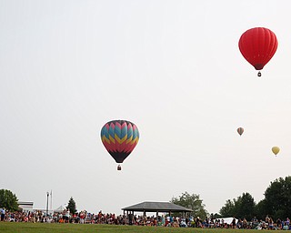 Hot air balloons take flight at the Hot air balloon festival at Mastropietro Winery on Sunday.