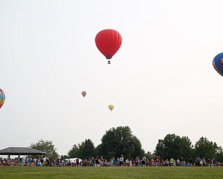 Hot air balloons take flight at the Hot air balloon festival at Mastropietro Winery on Sunday.