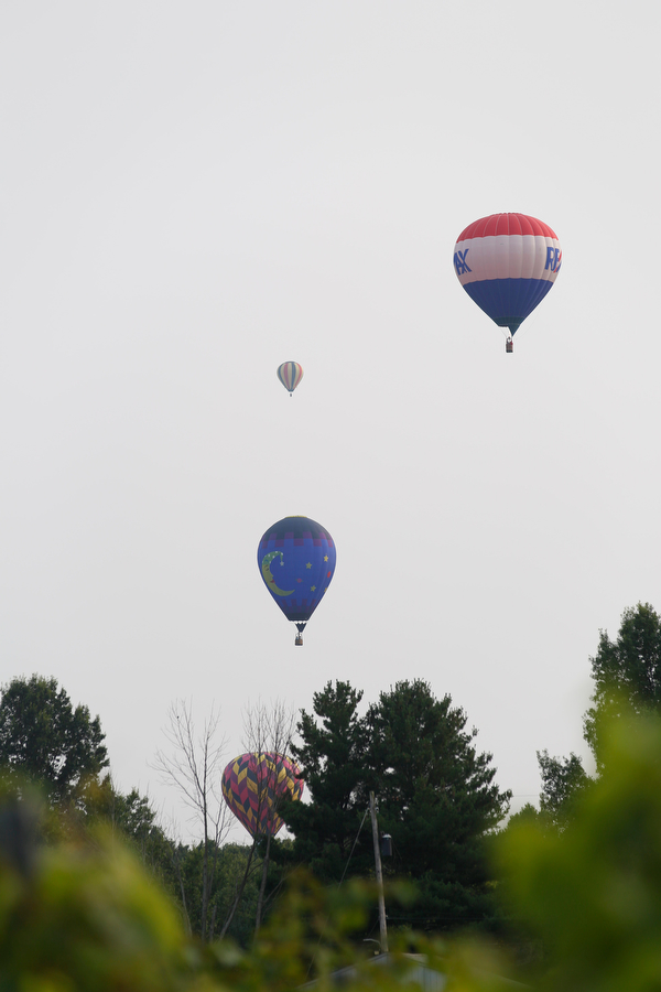 Hot air balloons fly at the Hot air balloon festival at Mastropietro Winery on Sunday.