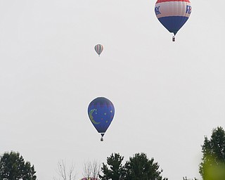 Hot air balloons fly at the Hot air balloon festival at Mastropietro Winery on Sunday.