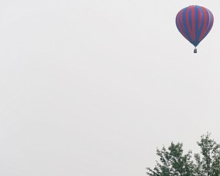 Hot air balloons fly at the Hot air balloon festival at Mastropietro Winery on Sunday.