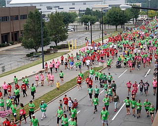 Runners and walkers participating in the 2-mile course make their way down Walnut Street at Panerathon on Sunday. .EMILY MATTHEWS | THE VINDICATOR