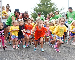 Girls ages four and under take off for the quarter-mile-long Kids Run at Panerathon outside of Covelli Centre on Sunday. .EMILY MATTHEWS | THE VINDICATOR