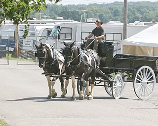  ROBERT K.YOSAY  | THE VINDICATOR..the 172  Canfield Fair is underway at the fairgrounds in Canfield- 52 rides and hundreds of vendors are ready for the traditional end of summer festivities..back to an earlier times two spotted drafts driven by Kevin Coleman as they round the bend. Draft Horse Show i Thursday