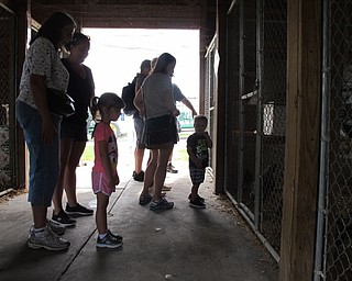 Neighbors | Jessica Harker.Groups walked through the poultry house at MetroParks Farms on Aug. 2 and looked at the birds.