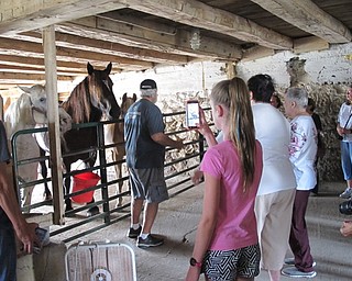 Neighbors | Jessica Harker.Tour guide Bill Gilmour talked to the group about the three horses that the MetroParks Farm have as part of their "retirment village" on Aug. 2 as part of the weekly farm tours.
