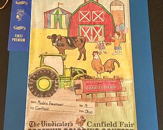 Neighbors | Submitted.One of Maddie Facemyers first place winning Creative Coloring Contest drawings from the Canfield Fair.
