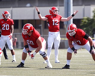 YSU's Montgomery VanGorder looks to the sidelines during the first half of the game on Saturday.