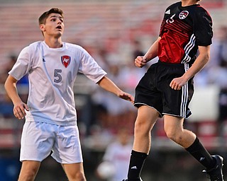 Austintown Fitch Canfield Boys Soccer