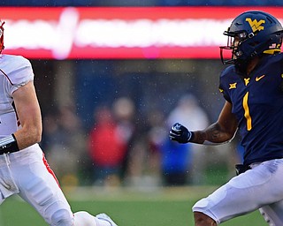 MORGANTOWN, WEST VIRGINIA - SEPTEMBER 8, 2018: Youngstown State's Montgomery VanGorder runs tot he sideline away from West Virginia's Derek Pitts Jr. during the first half of their game, Saturday night. DAVID DERMER | THE VINDICATOR