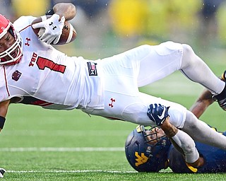 Youngstown State’s Zach Farrar (1) is tackled by West Virginia’s Derek Pitts Jr. during the first half of a game Saturday night at Milan Puskar Stadium in Morgantown, W.Va. The Mountaineers beat the Penguins, 52-17. Farrar finished with six catches for 135 yards.