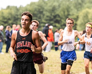DIANNA OATRIDGE | THE VINDICATOR Howland's Angelo Mauri leads a group of runners across the finish line during the  Suburban Cross Country meet at Austintown Park on Tuesday.
