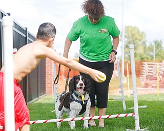 Aaron Donell, left, 9, of Austintown, tries to get his springer spaniel Jr. to jump over a hurdle while his mom Becky Donell holds the leash in the obstacle course at the 13th annual Pooch Pentathlon at The Davis Family YMCA on Sunday. EMILY MATTHEWS | THE VINDICATOR