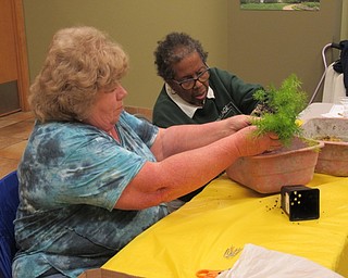 Neighbors | Jessica Harker.Kokedama class participants used their hands to round the dirt and root before adding moss on Sept. 11 at Fellows Riverside Garden.
