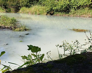 MetroParks Executive Director Aaron Young said the discoloration was reported to park officials early this morning, who contacted district health board and the soil and water conservation district. 