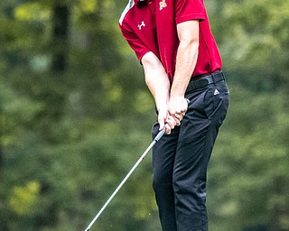 DIANNA OATRIDGE | THE VINDICATOR  Cardinal Mooney's Keegan Butler chips on to the Par 4, No. 7 green while playing in the Division II District Tournament at Windmill Lakes Golf Course in Ravenna on Tuesday.