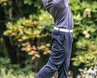 DIANNA OATRIDGE | THE VINDICATOR  Poland's Alex Rapp tees off on Hole No. 5 during play at the Division II District Tournament at Windmill Lakes Golf Course in Ravenna on Tuesday.