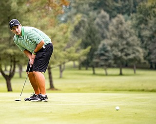 DIANNA OATRIDGE | THE VINDICATOR  Ursuline's Alex Stoneman saves par with his putt on the 18th hole at the Division II District Tournament at Windmill Lakes Golf Course in Ravenna on Tuesday.