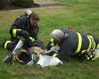 Warren firefighters, from left, Raymond Manofsky and Greg Woodward gave oxygen to this cat that was rescued from an apartment fire on Lodwick Drive Northwest this morning. The cat was resuscitated and taken to a nearby animal hospital. Another cat was also rescued from the apartment. Judy Young, an employee of the River Run Apartments, said she went to the apartment where the fire occurred and got the resident to leave, then got everyone else in the building to leave.
