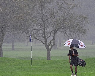 ALLIANCE, OHIO - OCTOBER 4, 2018: Jake Sylak of Mineral Ridge walks in the rain on the 16th hole during the Division 3 district tournament at Tannenhauf Golf Club, Thursday afternoon. DAVID DERMER | THE VINDICATOR