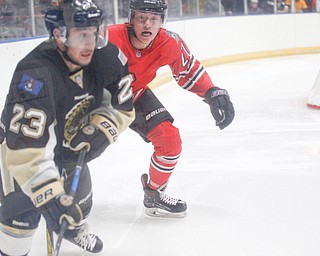 Youngstown's John Larkin tries to get the puck from Muskegon's Brock Bremer during their game at Covelli Centre on Friday night. EMILY MATTHEWS | THE VINDICATOR