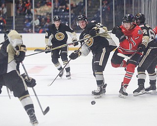 Phantoms v. Lumberjacks