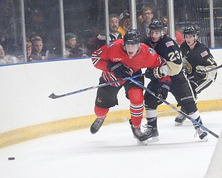 Youngstown's Brett Murray tries to get away from Muskegon's Brock Bremer as they both go after the puck during their game at Covelli Centre on Friday night. EMILY MATTHEWS | THE VINDICATOR