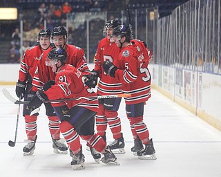 Youngstown celebrates after scoring against Muskegon in the second period of their game at Covelli Centre on Friday night. EMILY MATTHEWS | THE VINDICATOR