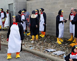 People dressed in penguin costumes gather before marching in the YSU homecoming parade on Saturday. EMILY MATTHEWS | THE VINDICATOR