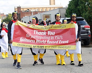 People dressed in penguin costumes get ready to march in the YSU homecoming parade on Saturday. EMILY MATTHEWS | THE VINDICATOR