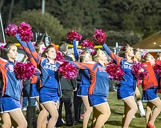 DIANNA OATRIDGE | THE VINDICATOR The Niles' drill team performs their fight song routine after their team scored against Howland at Lombardo Field on Thursday.