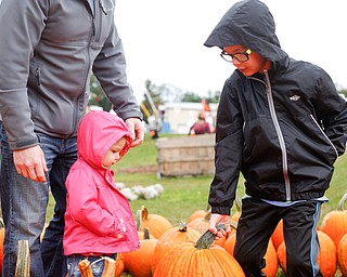 Emerick Kifer, 8, right, picks up a pumpkin for his sister Gabriella Kifer, 2, while their dad Miles Kifer, all of Canfield, stands by at White House Fruit Farm on Saturday. EMILY MATTHEWS | THE VINDICATOR
