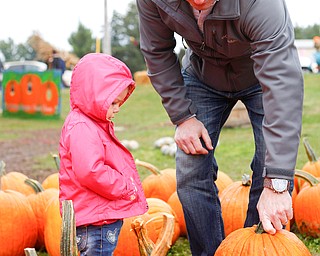 Miles Kifer, of Canfield, looks at a pumpkin with his daughter Gabriella, 2, at White House Fruit Farm on Saturday. EMILY MATTHEWS | THE VINDICATOR