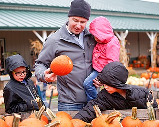 From left, Emerick Kifer, 8, Miles Kifer, Gabriella Kifer, 2, and Henry Kifer, 6, all of Canfield, look at pumpkins at White House Fruit Farm on Saturday. EMILY MATTHEWS | THE VINDICATOR