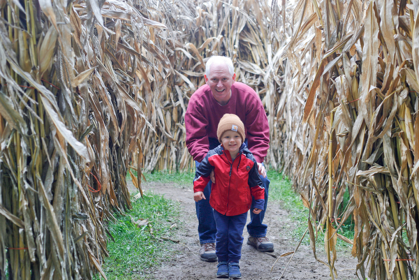 Silas Landis, 2, of Wadsworth, right, walks through a corn maze with his grandfather Paul Landis, of North Lima, at White House Fruit Farm on Saturday.  EMILY MATTHEWS | THE VINDICATOR