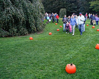People look at pumpkins during the Pumpkin Walk at Twilight at Fellows Riverside Gardens on Sunday. EMILY MATTHEWS | THE VINDICATOR