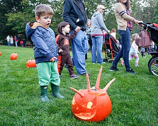Bode Lane, 2, of Youngstown, looks at a pumpkin with a carrot mohawk during the Pumpkin Walk at Twilight at Fellows Riverside Gardens on Sunday. EMILY MATTHEWS | THE VINDICATOR