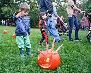 Bode Lane, 2, of Youngstown, looks at a pumpkin with a carrot mohawk during the Pumpkin Walk at Twilight at Fellows Riverside Gardens on Sunday. EMILY MATTHEWS | THE VINDICATOR