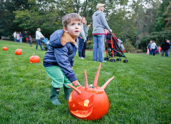 Bode Lane, 2, of Youngstown, looks at a pumpkin with a carrot mohawk during the Pumpkin Walk at Twilight at Fellows Riverside Gardens on Sunday. EMILY MATTHEWS | THE VINDICATOR