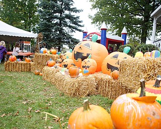 Pumpkins are displayed at the Canfield Police Department's Fall Festival on Saturday. EMILY MATTHEWS | THE VINDICATOR