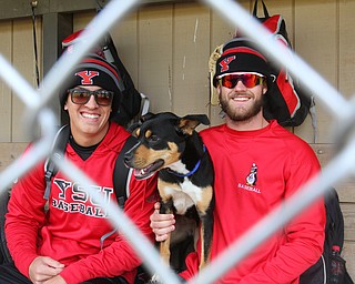 William D. Lewis The Vindicator YSU Baseball players Web Charles, left, and Jeff Wehler with Ali, a dog the tean adopted after it showed up at a recent practice. Charles is keeping the dog at his home.